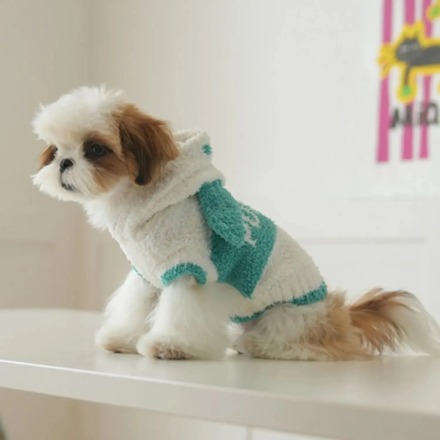 Half & Fuzz Sweater