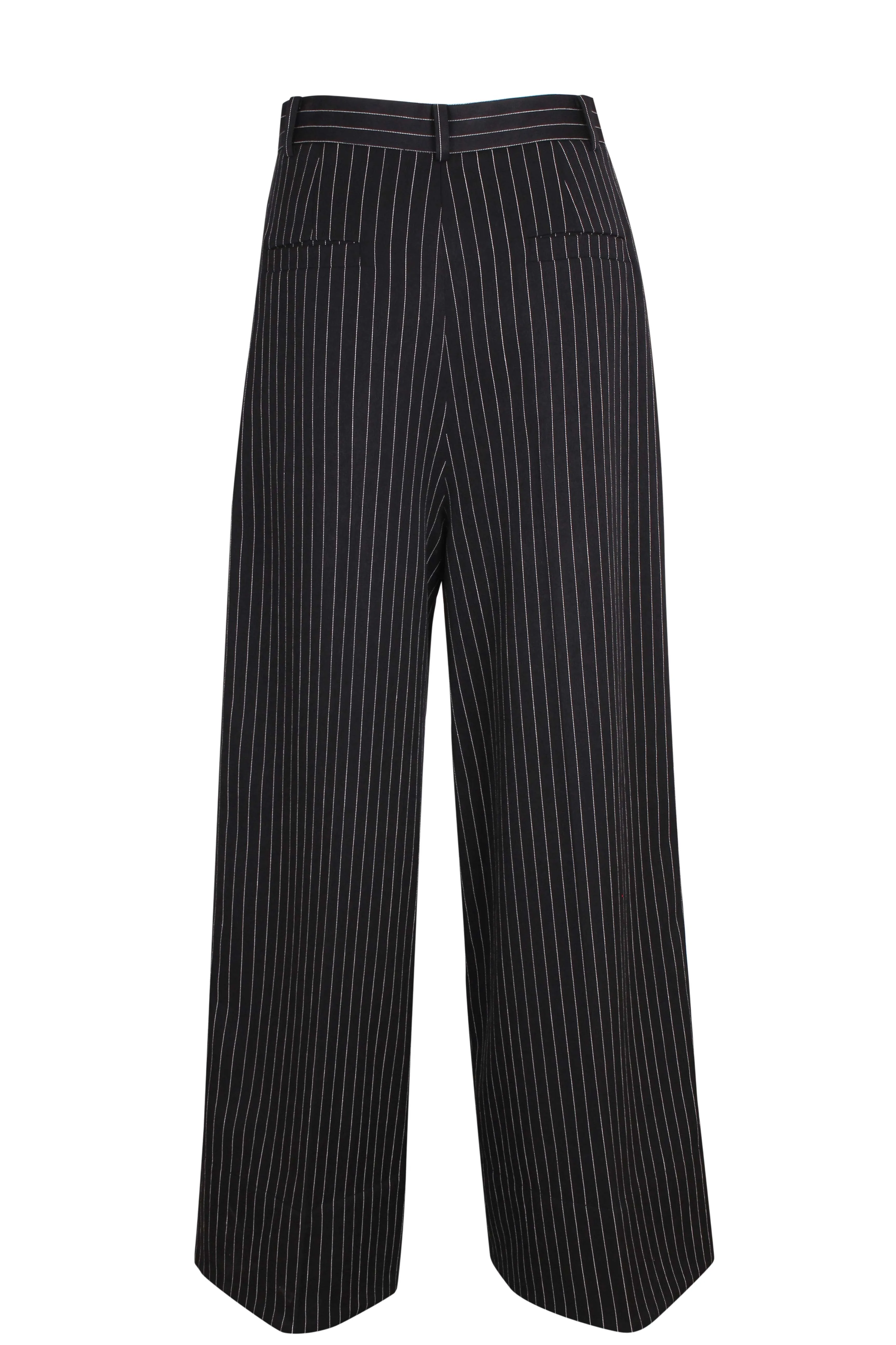 Pinstripe Tailored Pleats Pants